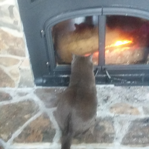 Meet your Posher, 20thingamabobz - Picture 5 of 5